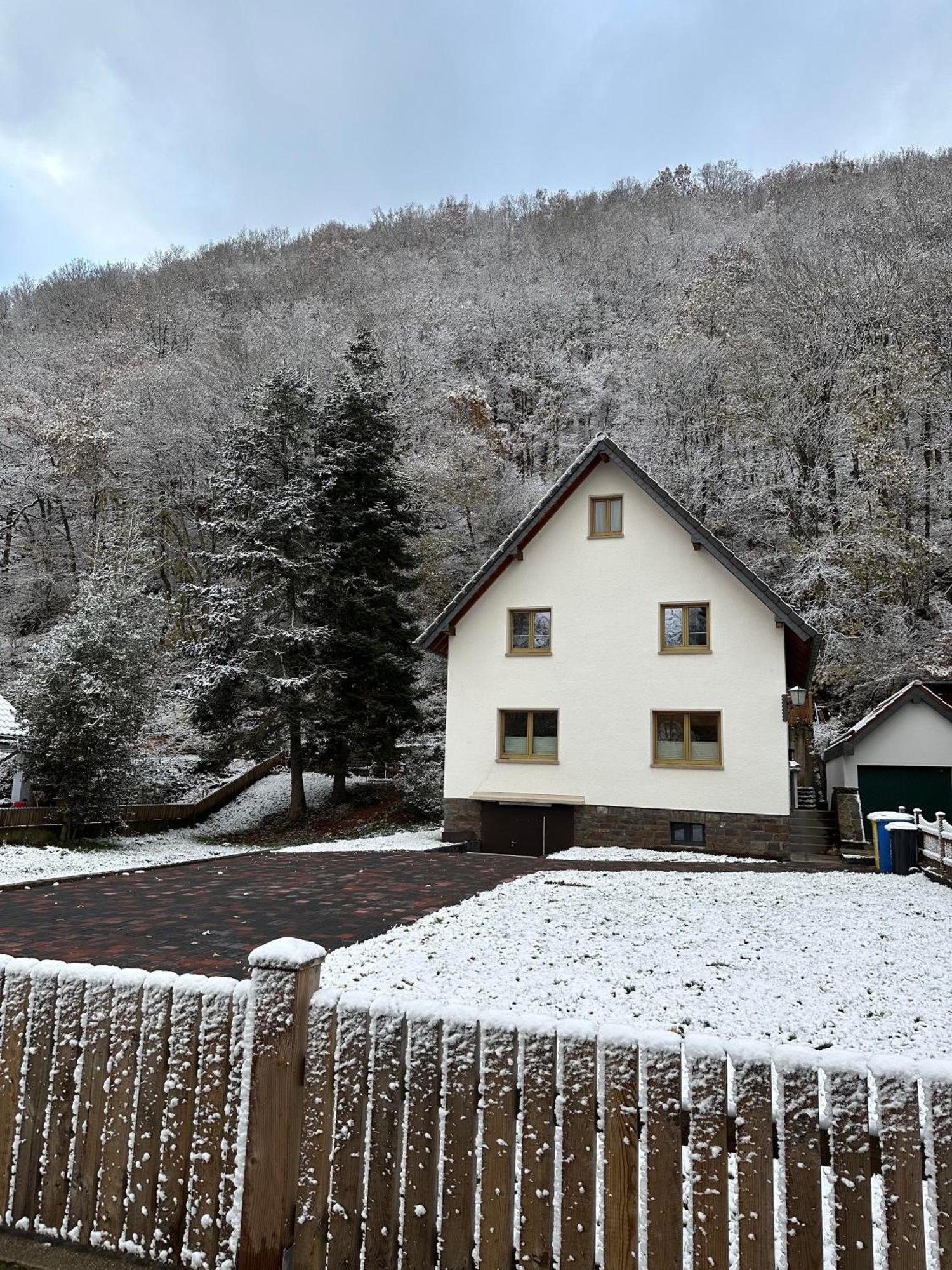 Ferienhaus Ginkgo Biloba Malsbenden Bagian luar foto