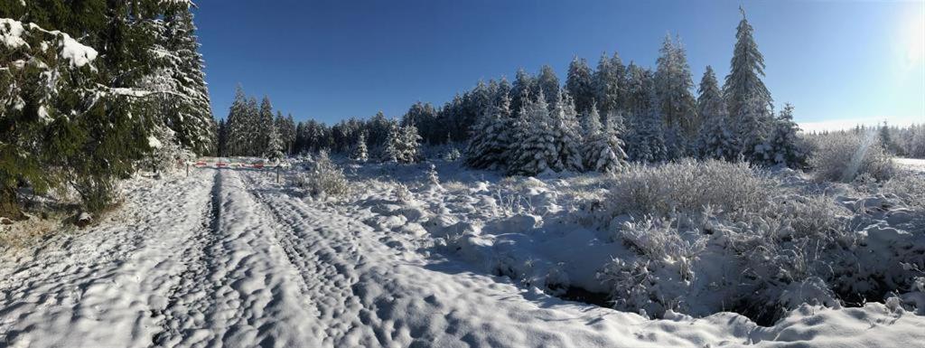 Ferienhaus Ginkgo Biloba Malsbenden Bagian luar foto