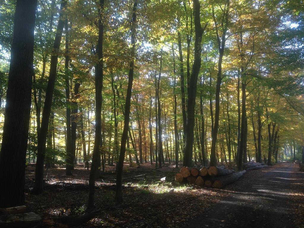 Ferienhaus Ginkgo Biloba Malsbenden Bagian luar foto