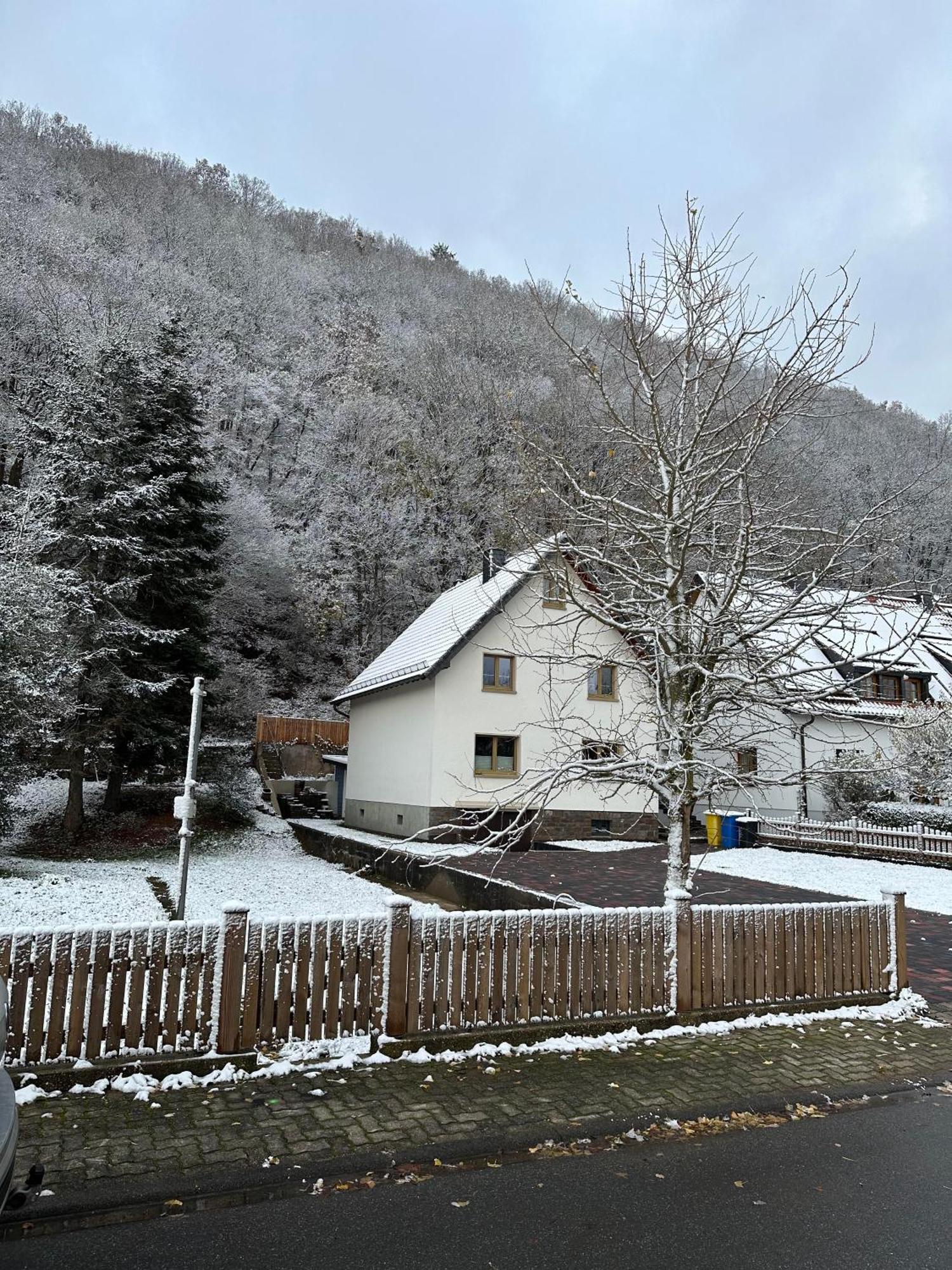 Ferienhaus Ginkgo Biloba Malsbenden Bagian luar foto