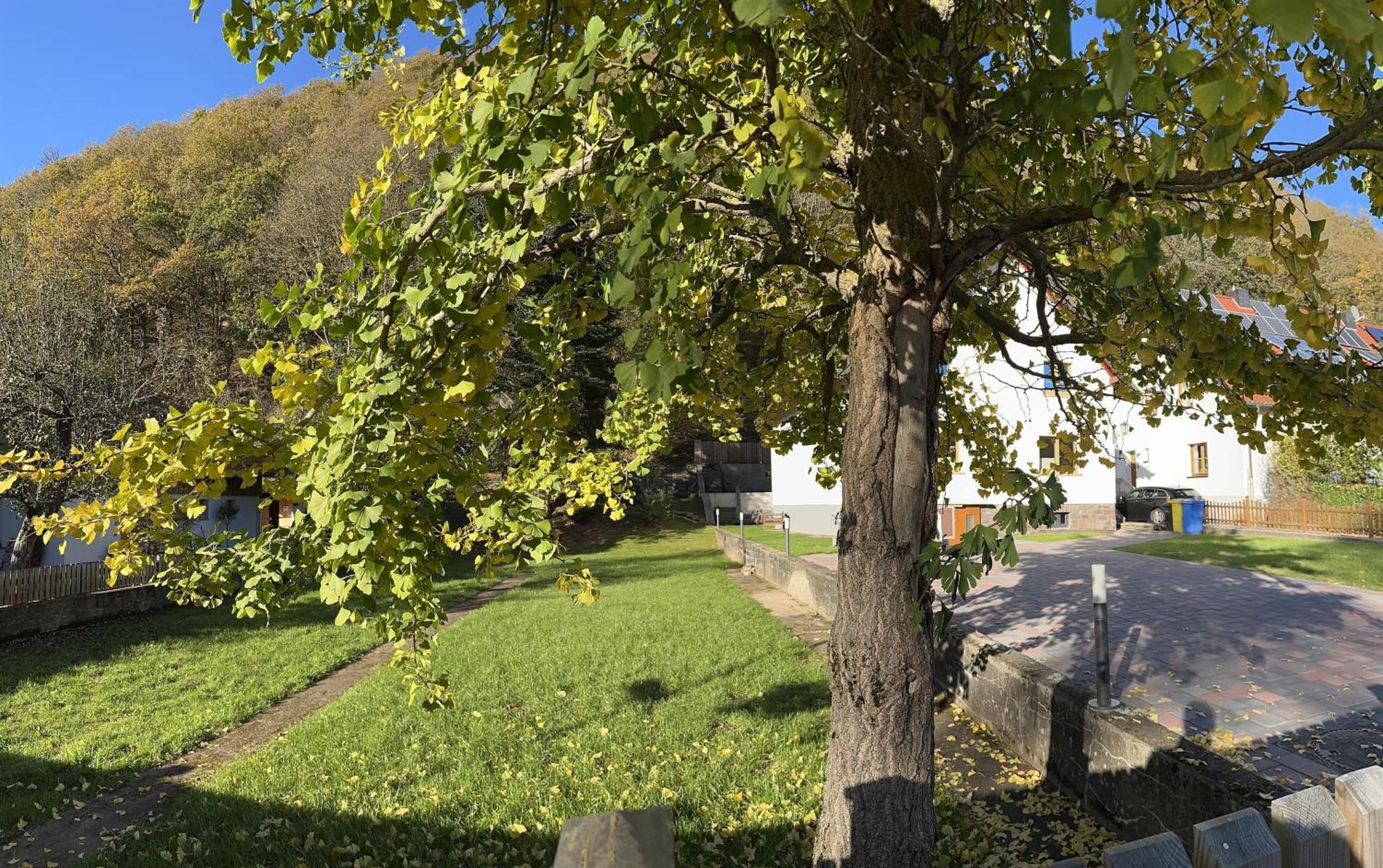 Ferienhaus Ginkgo Biloba Malsbenden Bagian luar foto