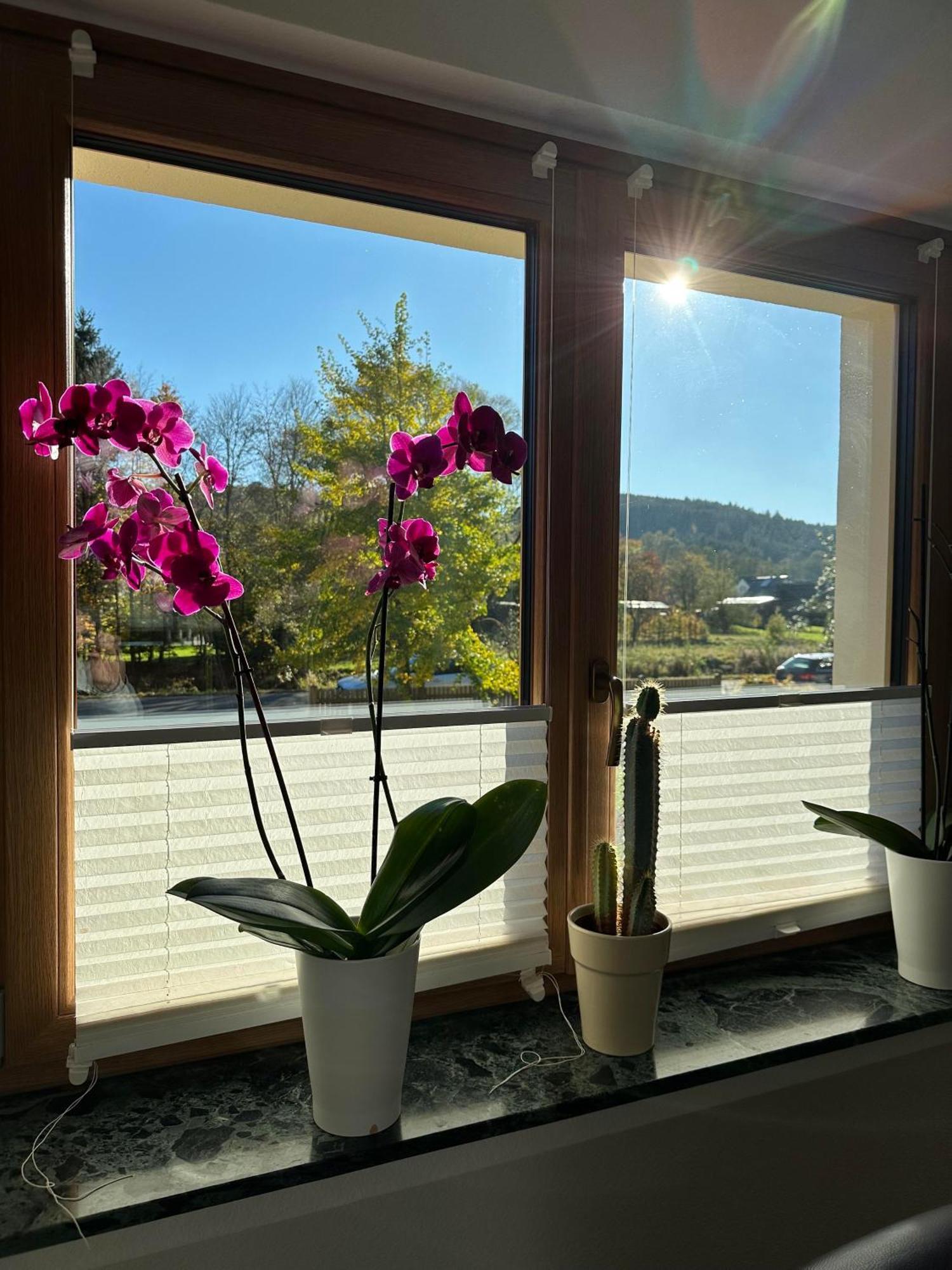 Ferienhaus Ginkgo Biloba Malsbenden Bagian luar foto