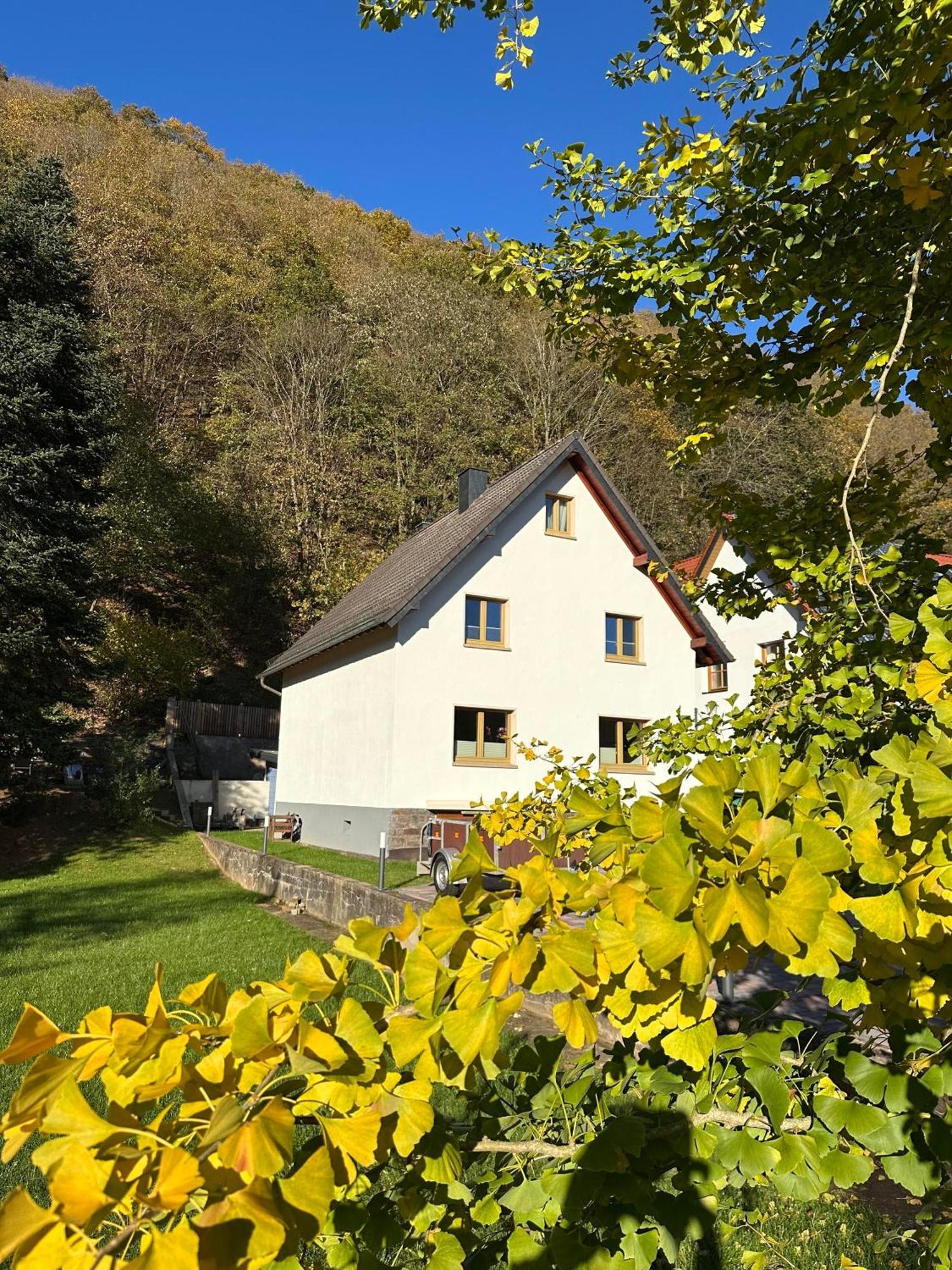 Ferienhaus Ginkgo Biloba Malsbenden Bagian luar foto