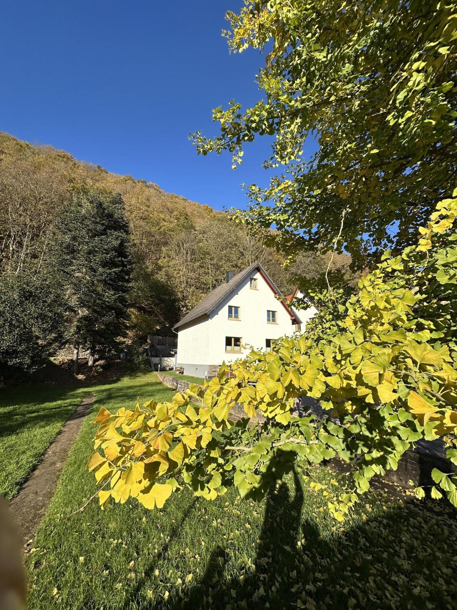 Ferienhaus Ginkgo Biloba Malsbenden Bagian luar foto
